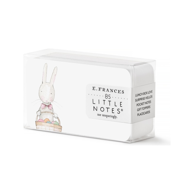 Easter Bunny Little Notes