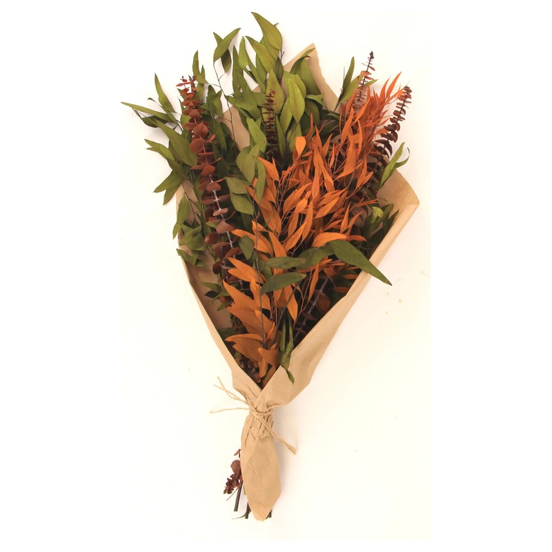 Autumn Eucalyptus Bundle - Olive