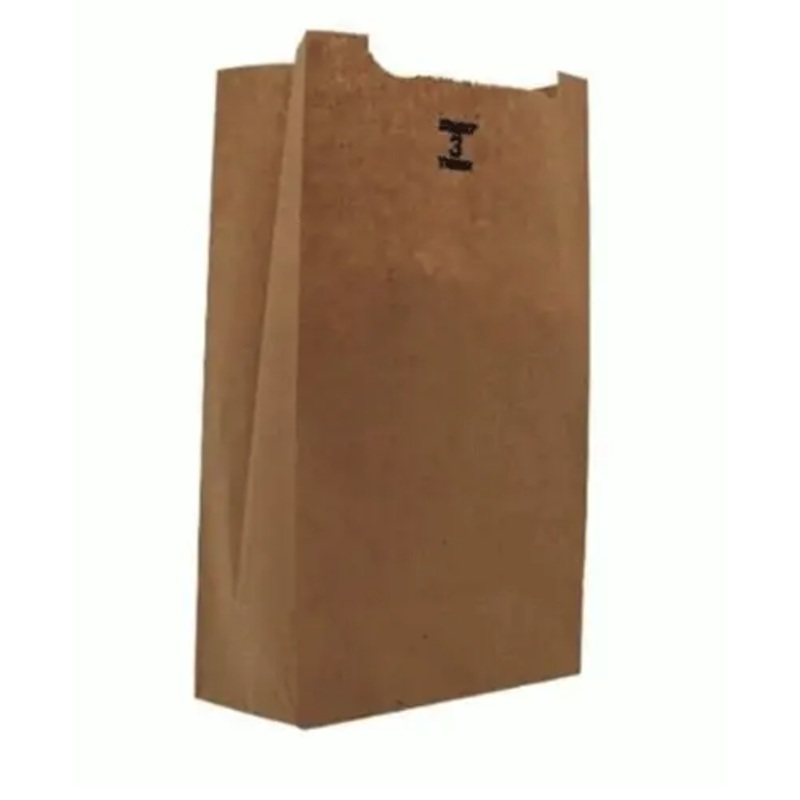 3lb Paper Bag 500/cs