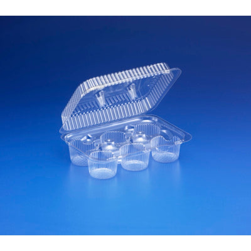 6 Cavity Clear Hinged Tray SLP46