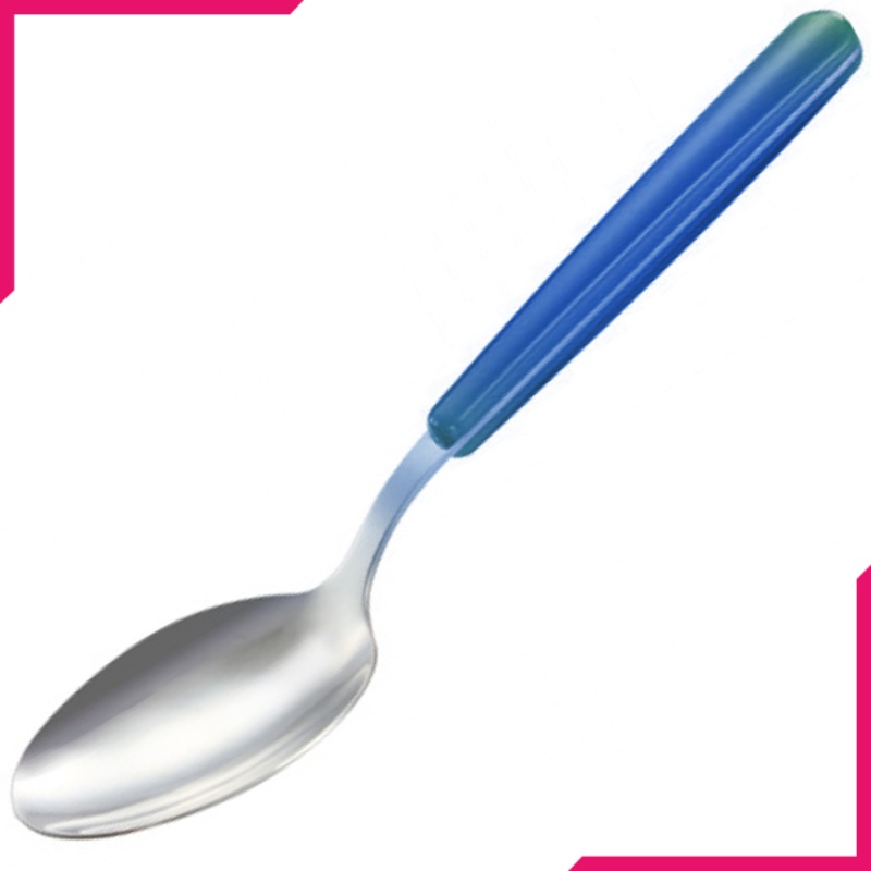 Tescoma Fancy Soup Spoon Blue