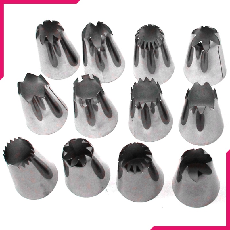 Extra Large Nozzle/Tip Set 12 Pcs