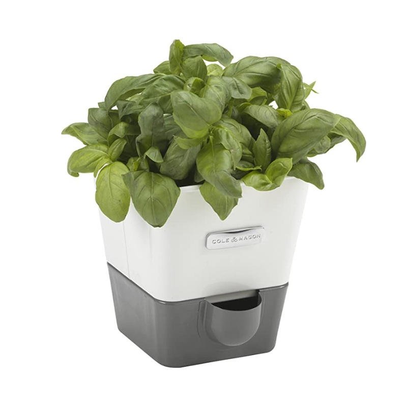 Cole & Mason Self Watering Herb Keeper Single