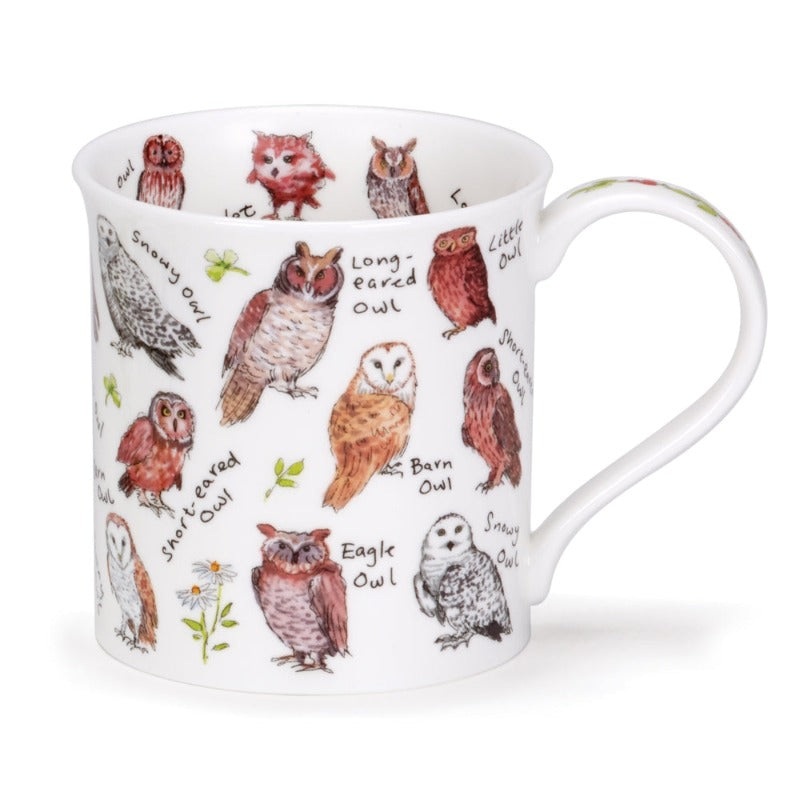 Dunoon Bute Owls Birdlife Mug