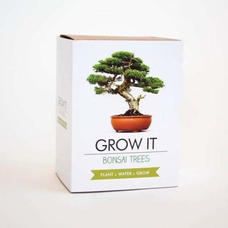 GROW IT Bonsai Trees