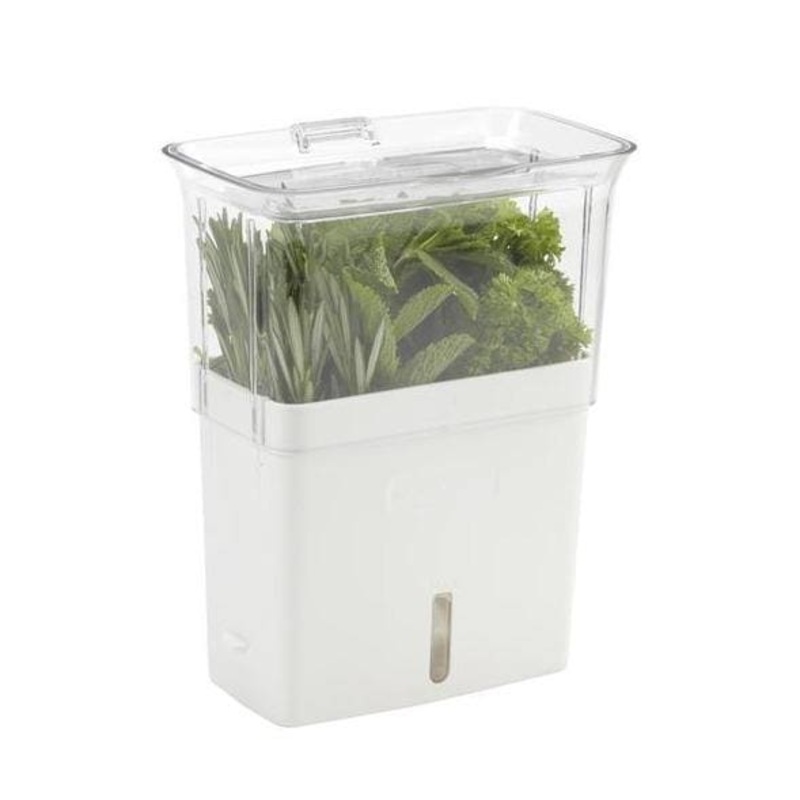 Cole & Mason Cut Herb Keeper